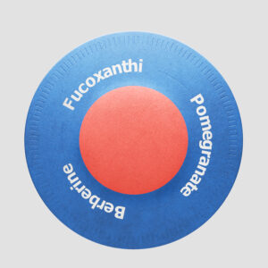 Purisaki GLP Berberin Abnehmpflaster